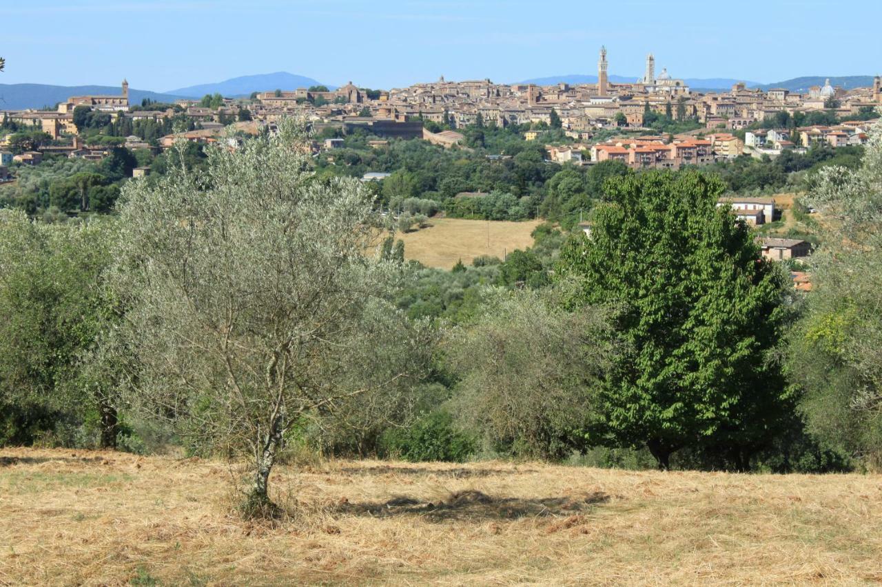 Casa vacanze Vignano40 Siena